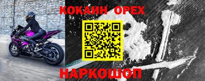 шишки Изобильный