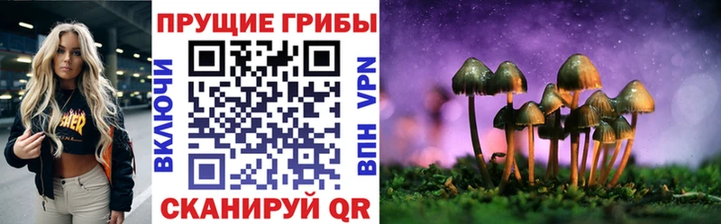 Псилоцибиновые грибы MAGIC MUSHROOMS  мориарти какой сайт  Мытищи 