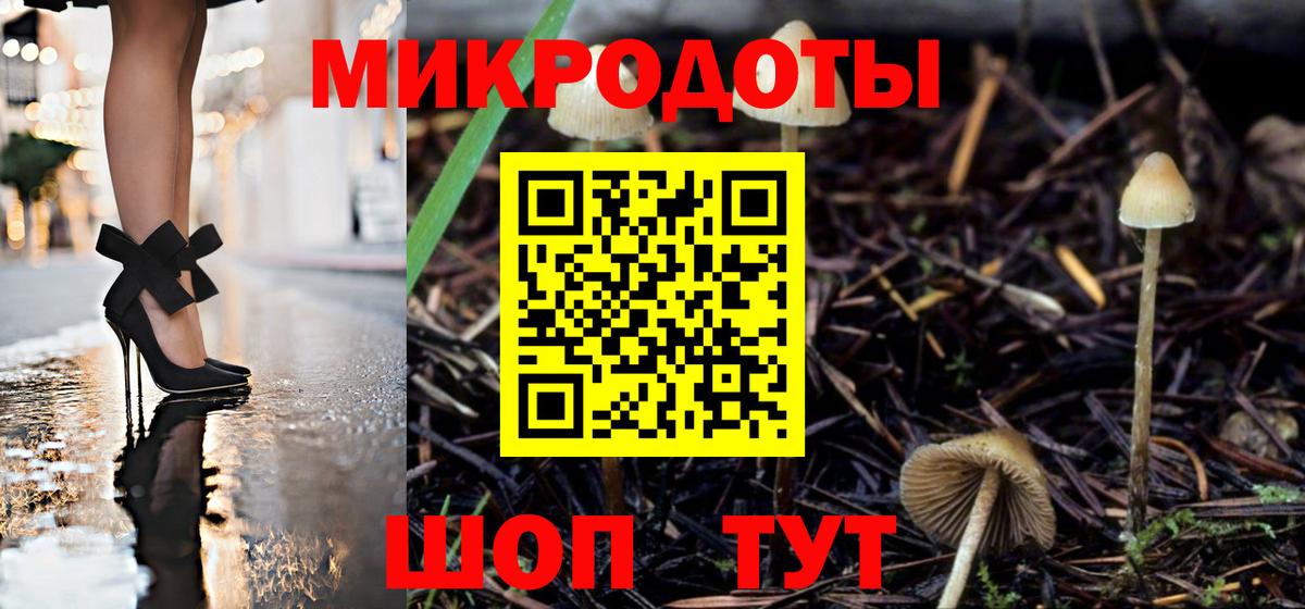 Галлюциногенные грибы Cubensis Мытищи